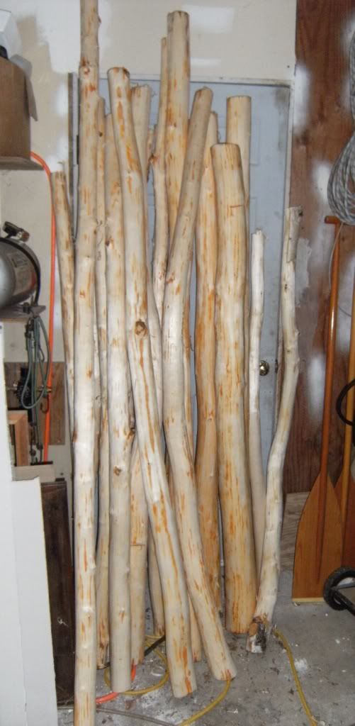 Rustic peeled birch logs