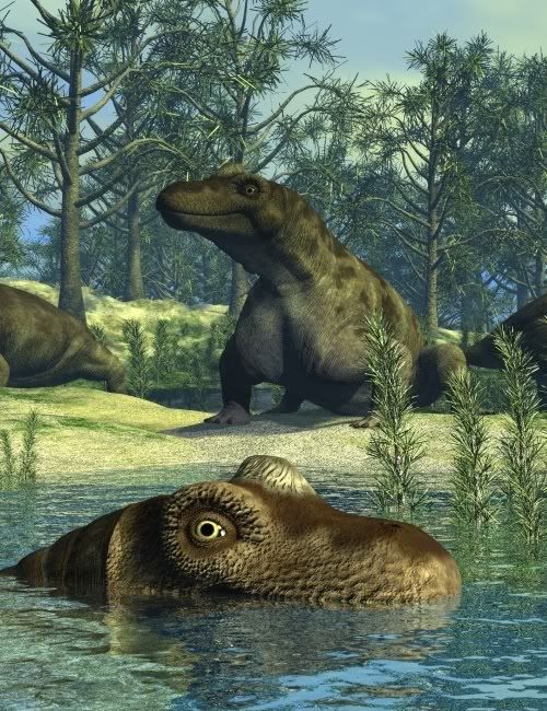 Keratocephalus Re-Upped Keratocephalus Re-Upped