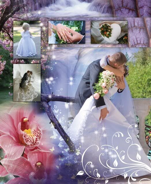 elegant wedding photo albums