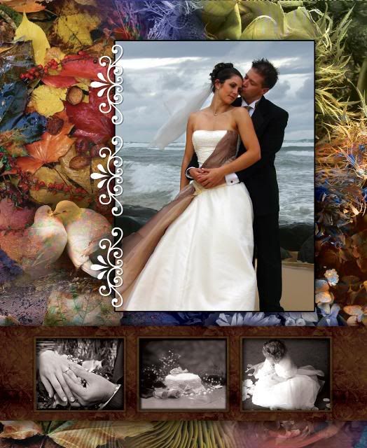 elegant wedding photo albums