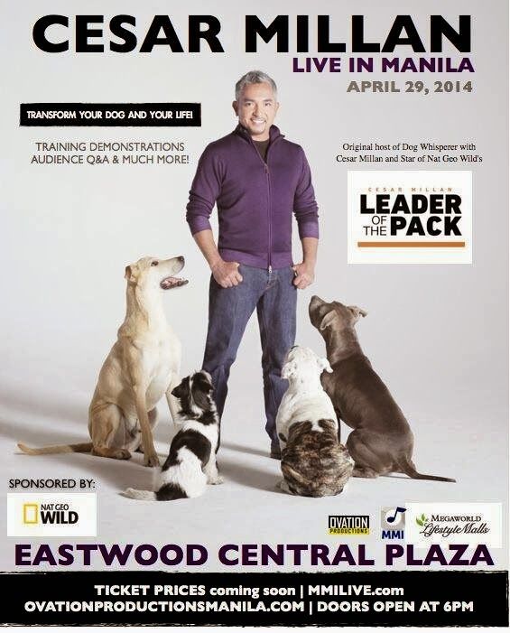  photo cesar-millan-live-in-manila.jpg