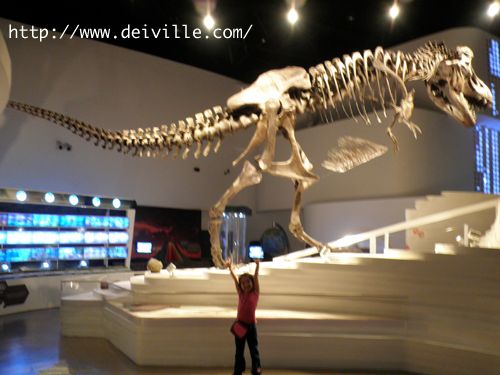 Summer 2013: The Mind Museum in Full Perspective the-mind-museum-deiville-02.jpg