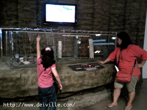  photo the-mind-museum-deiville-04.jpg