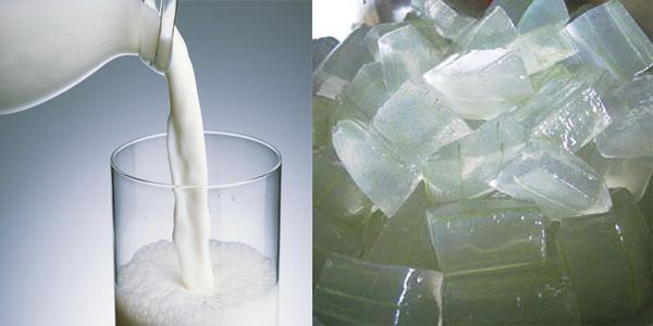 Cách làm trắng da toàn thân tự nhiên tại nhà đơn giản với sữa tươi nha đam