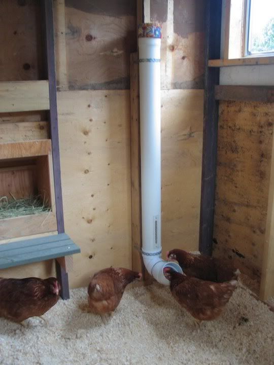 Yellowjacket's Chicken Coop - BackYard Chickens Community