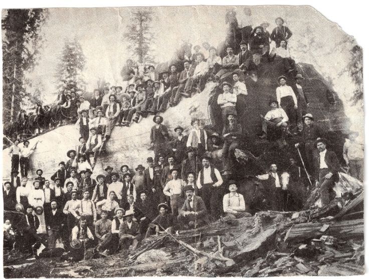 photo Lumberjacks1_zps5cjewpjt.jpg