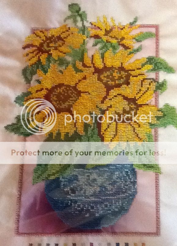 Photobucket Pictures, Images and Photos