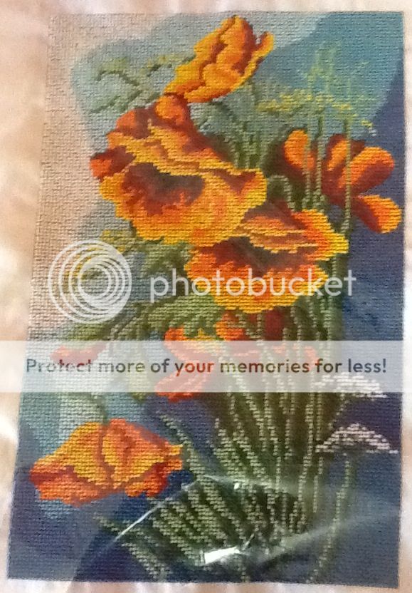 Photobucket Pictures, Images and Photos