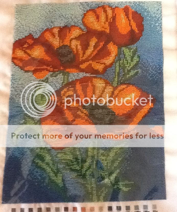 Photobucket Pictures, Images and Photos